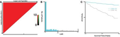 Establishment and validation of a nomogram model for predicting distant metastasis in medullary thyroid carcinoma: An analysis of the SEER database based on the AJCC 8th TNM staging system